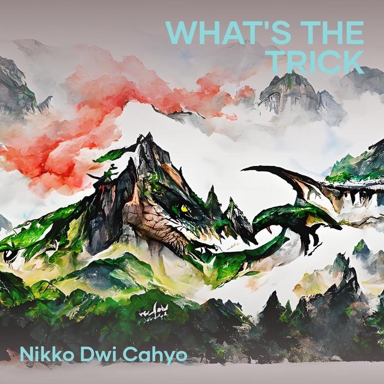 NIKKO DWI CAHYO's avatar image