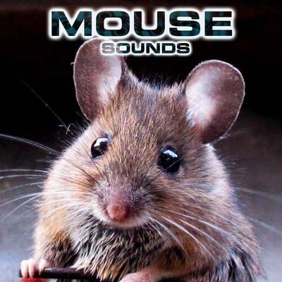 Mouse Sounds's cover