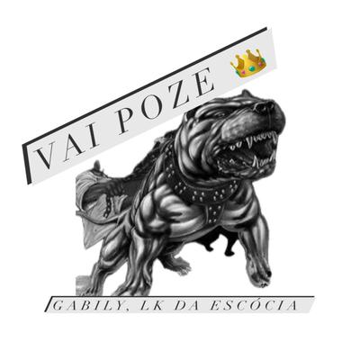 Vai Poze's cover