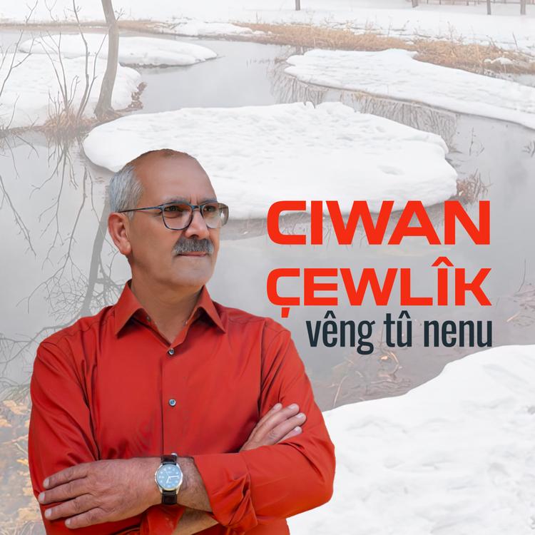 Ciwan Çewlîk's avatar image