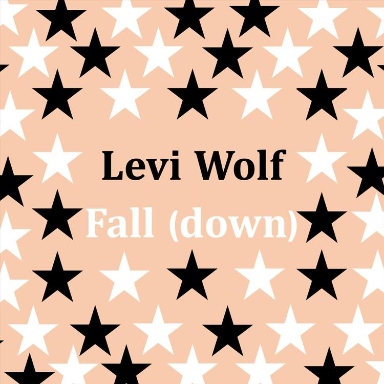 Levi Wolf's avatar image