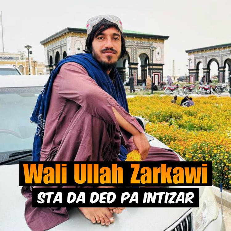 Wali Ullah Zarkawi's avatar image