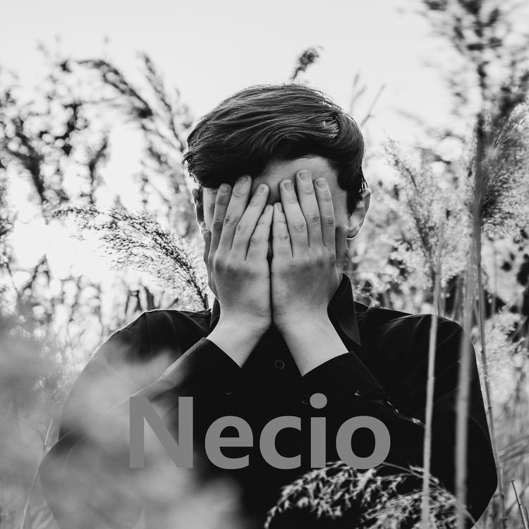 Necio's avatar image