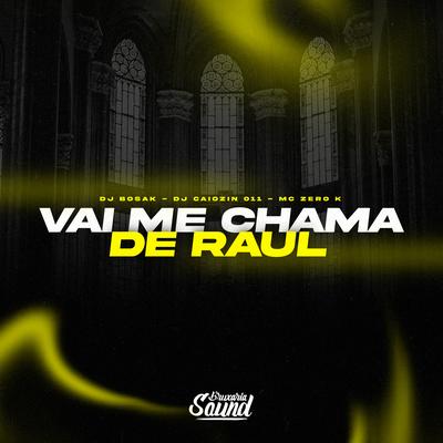 Vai Me Chama de Raul By DJ Bosak, Dj Caiozin 011, Mc Zero K's cover