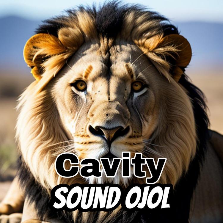 Sound Ojol's avatar image