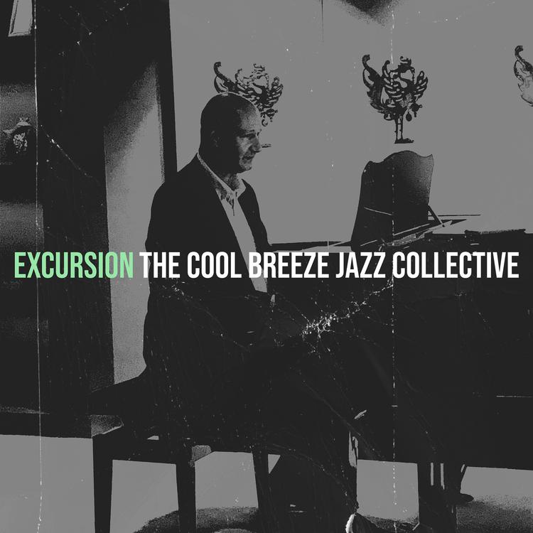 The Cool Breeze Jazz Collective's avatar image