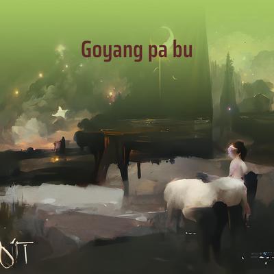 Goyang Pa Bu's cover