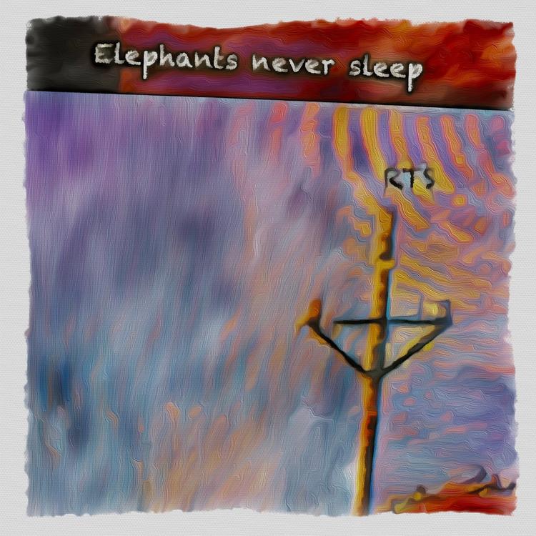 Elephants Never Sleep's avatar image