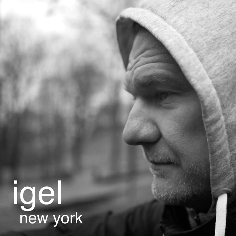 Igel's avatar image
