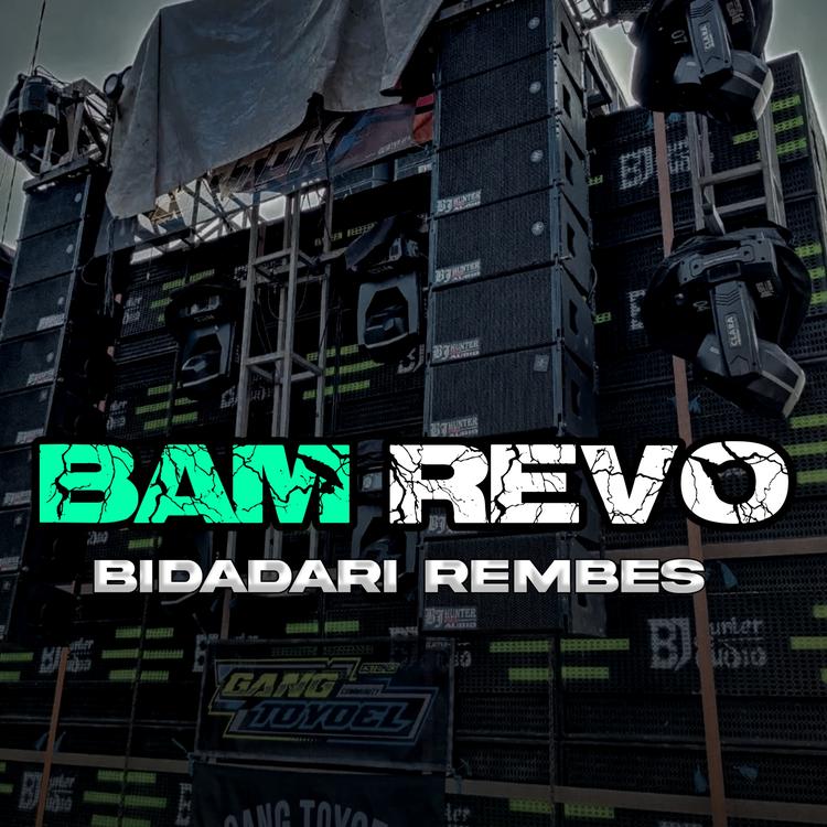 BAM REVO's avatar image