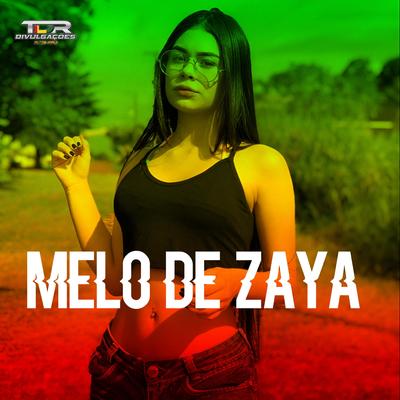 Melo De Zaya (Reggae Version) By TDR DIVULGAÇÕES's cover