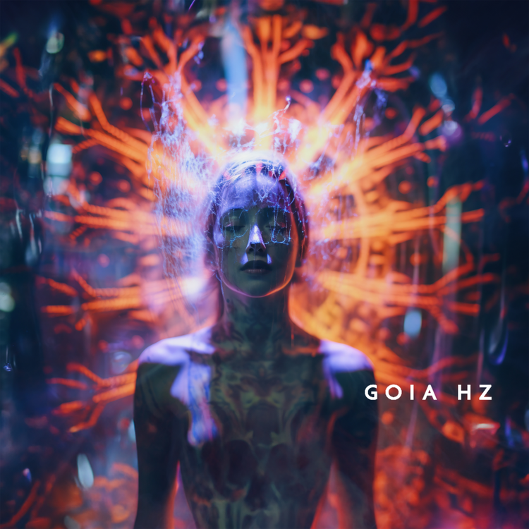 Goia Hz's avatar image