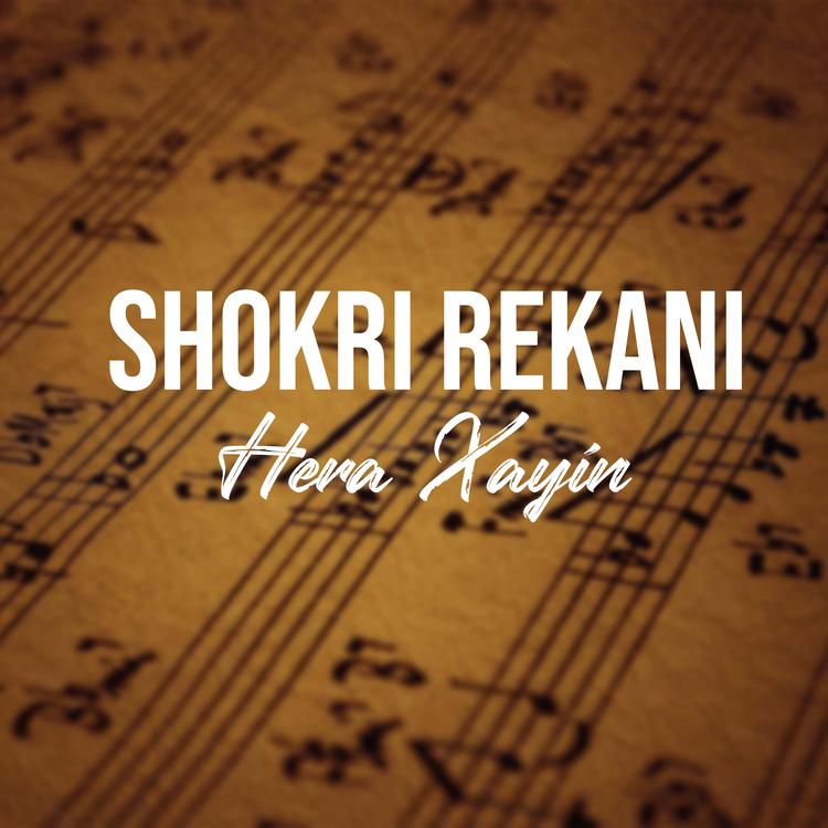 Shokri Rekani's avatar image