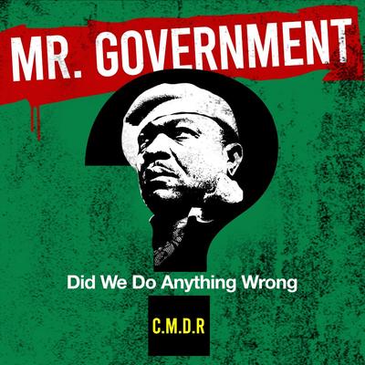 Mr Government (Did We Do Anything Wrong?)'s cover