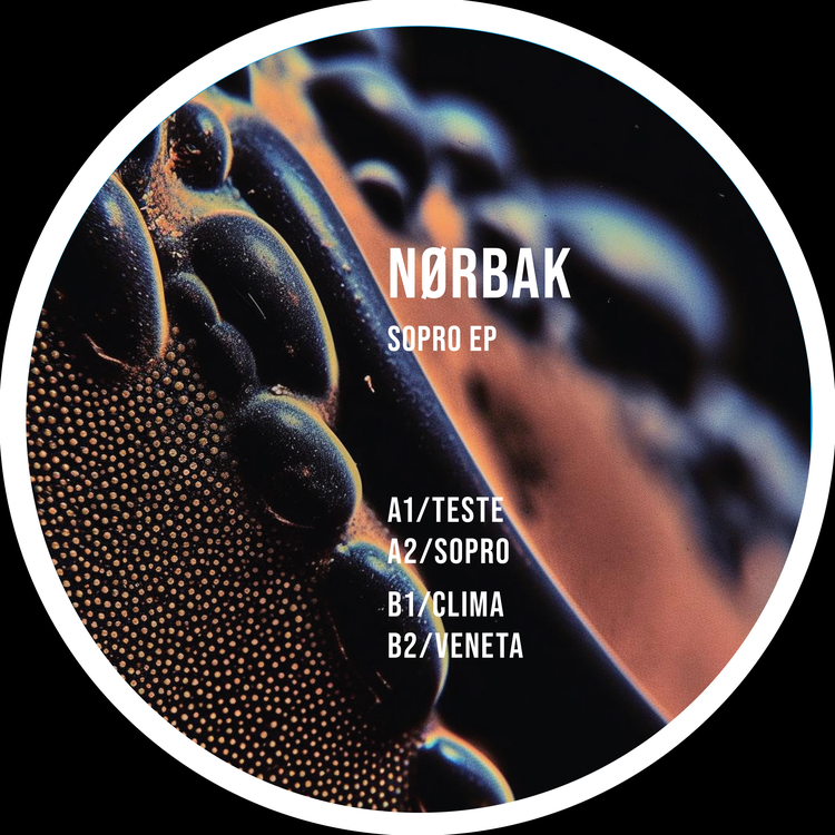 Nørbak's avatar image