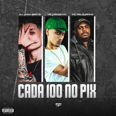 Cada 100 no Pix's cover