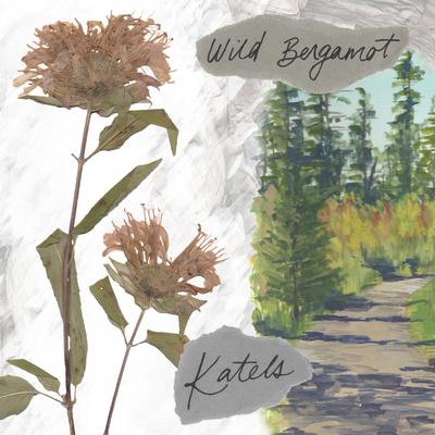 Wild Bergamot's cover