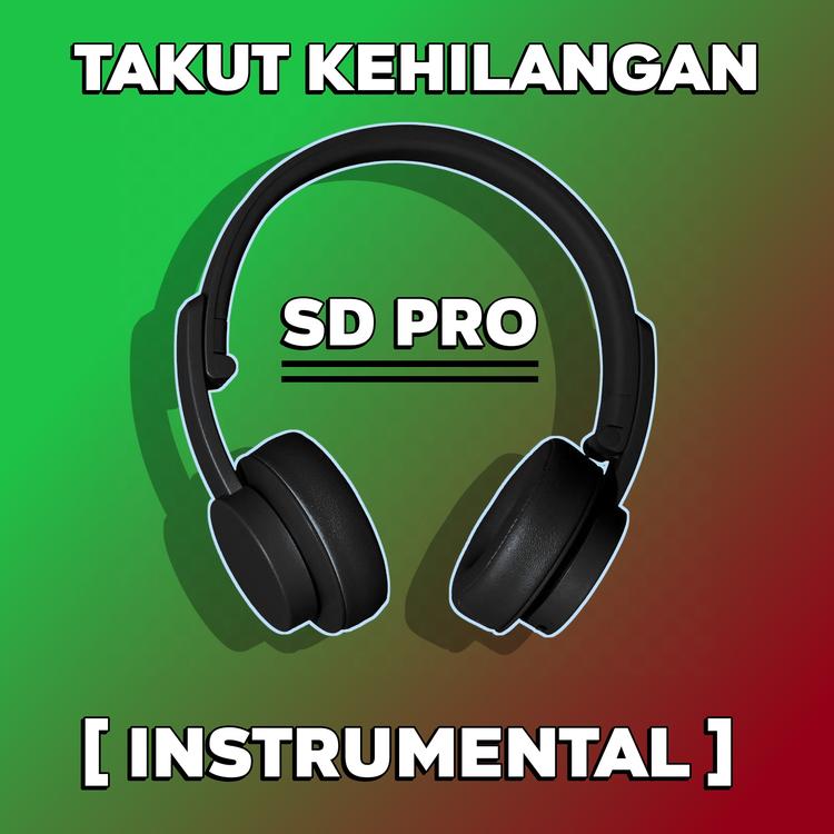 SD PRO's avatar image