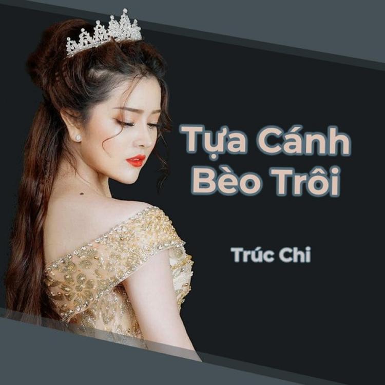 Trúc Chi's avatar image