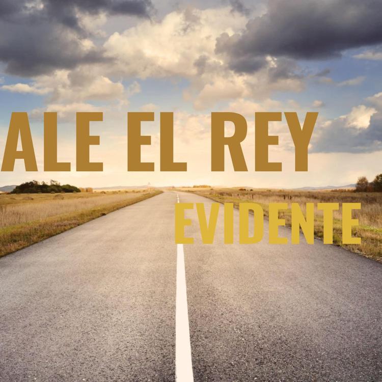 Ale el rey's avatar image