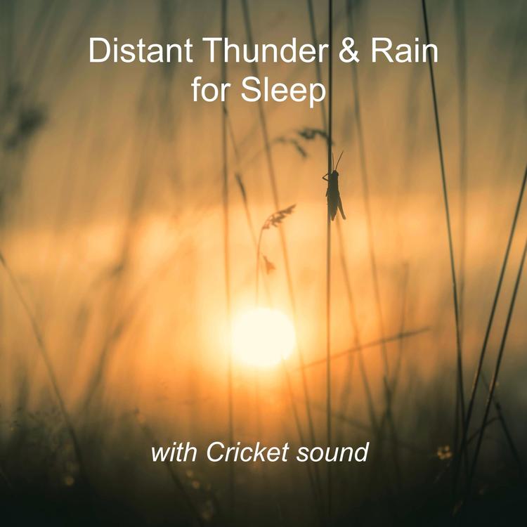 Distant Thunder & Rain for Sleep with Cricket Sound's avatar image