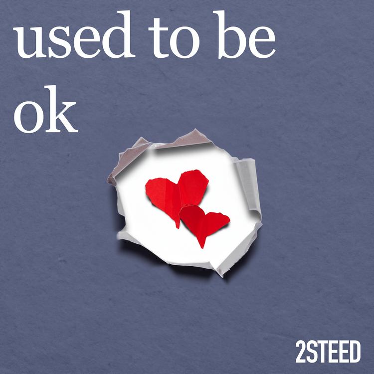 2STEED's avatar image