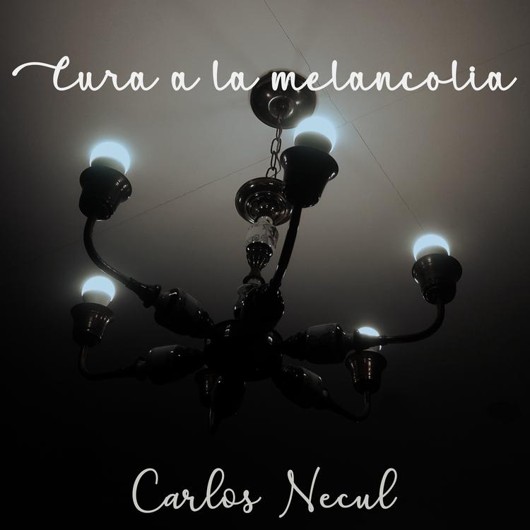 Carlos Necul's avatar image