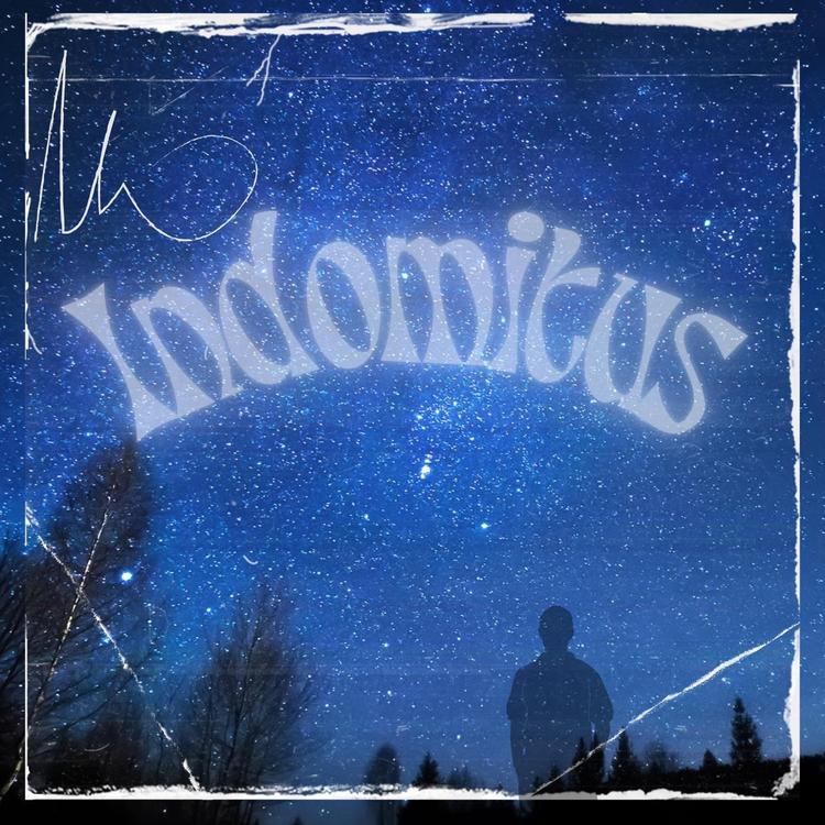 indomitus's avatar image