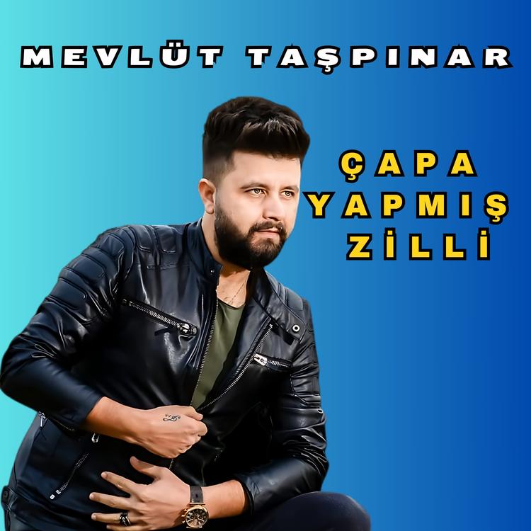 Mevlüt Taşpınar's avatar image