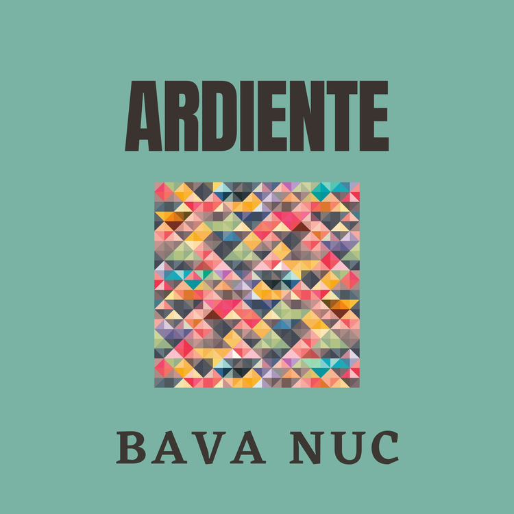 Bava Nuc's avatar image