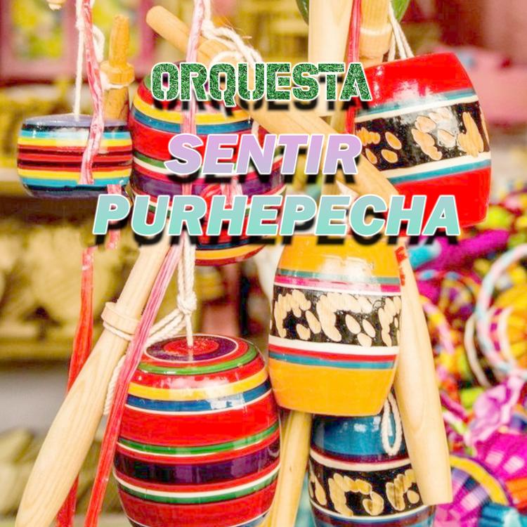 Orquesta Sentir Purhepecha's avatar image