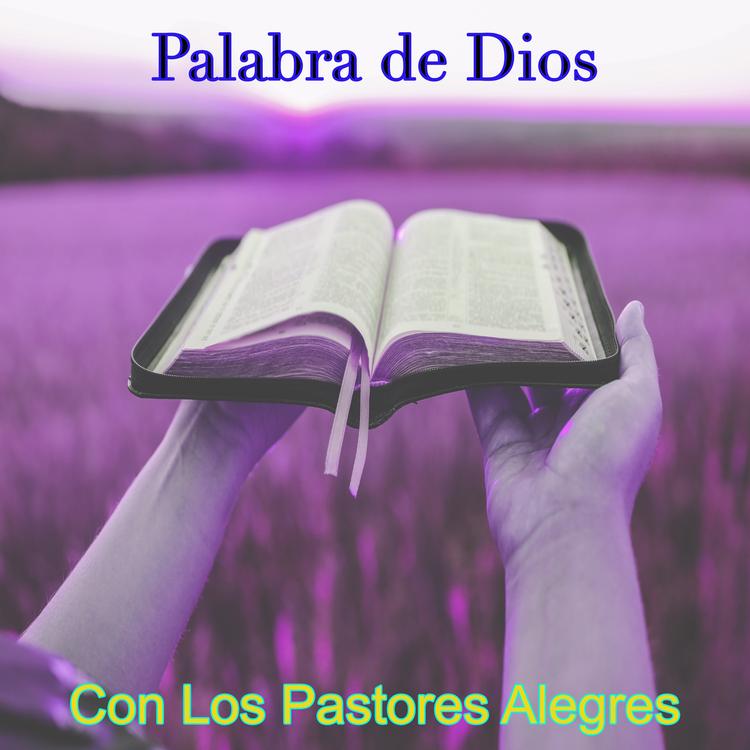 Palabra de Dios's avatar image