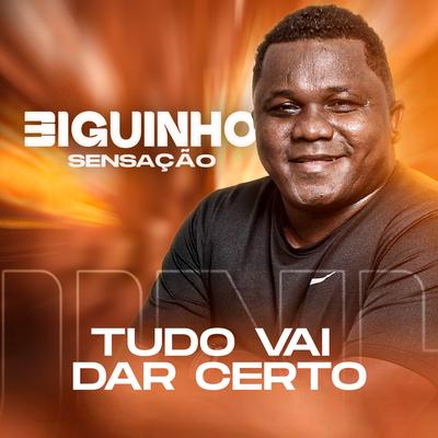 Tudo Vai Dar Certo By BIGUINHO SENSAÇÃO's cover