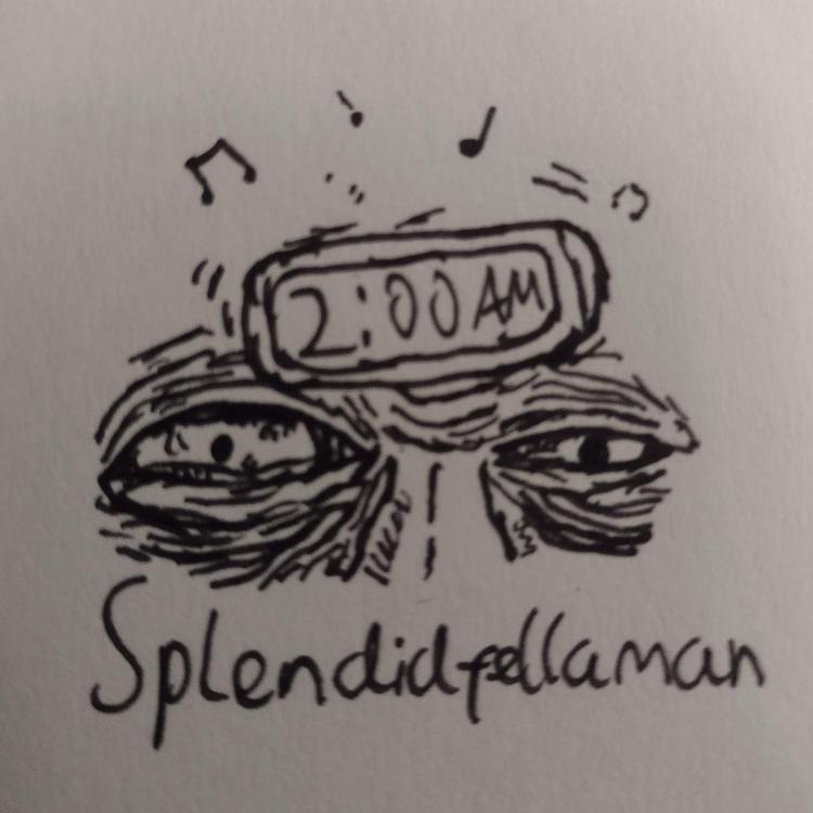 SplendidFellaMan's avatar image