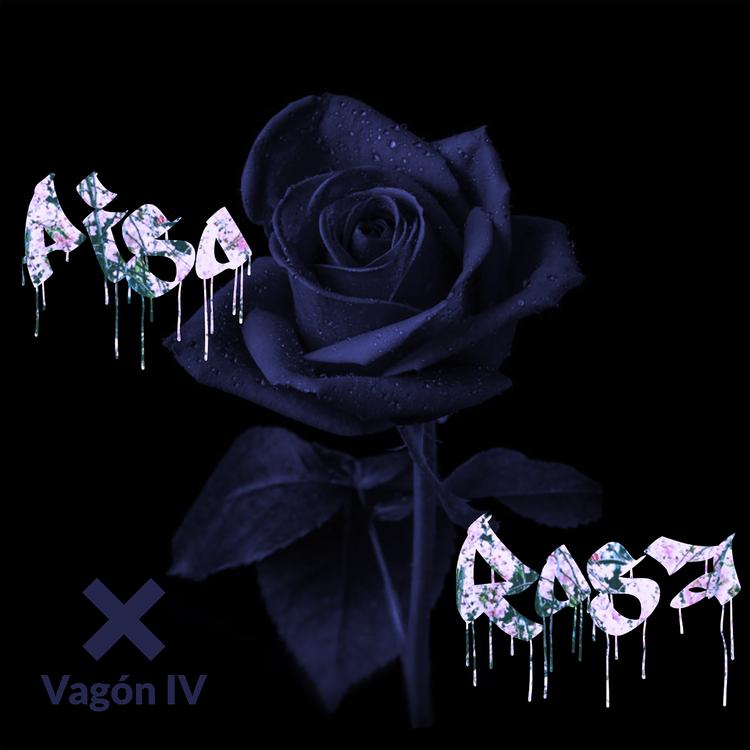 Vagon IV's avatar image