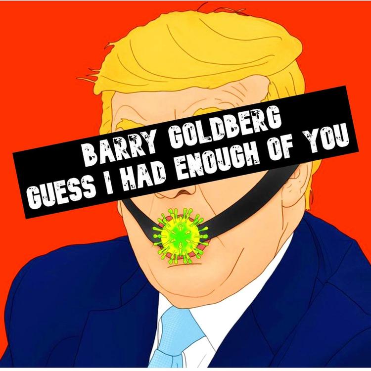 Barry Goldberg's avatar image