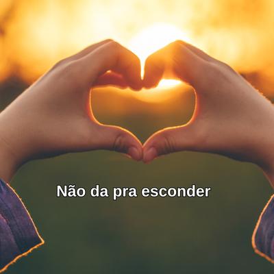 Não dá pra esconder's cover