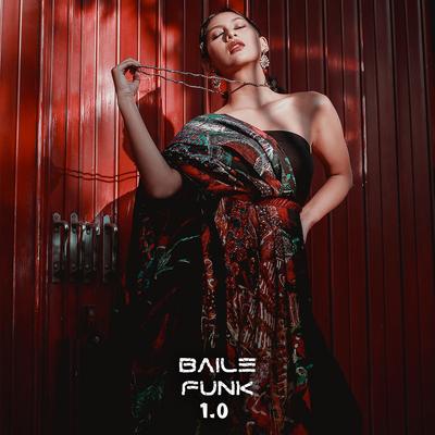 Baile Funk 1.0's cover