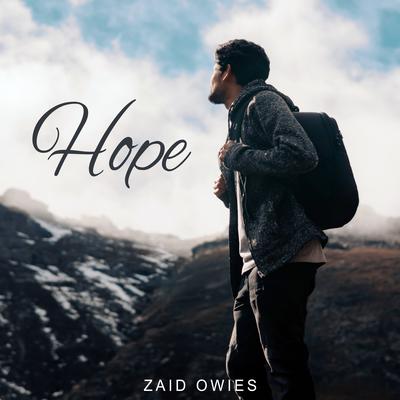 Zaid Owies's cover