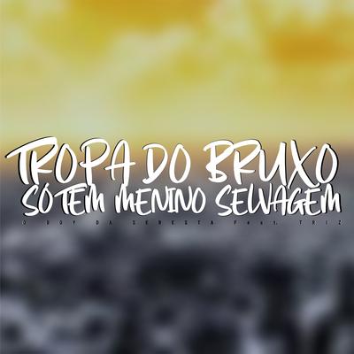 Tropa do Bruxo Só Tem Menino Selvagem (feat. TRIZ) (feat. TRIZ) By O Boy da Seresta, TRIZ's cover