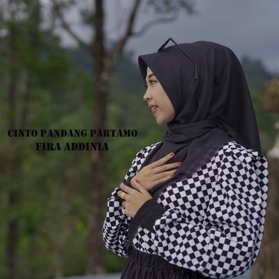 Cinto Pandang Partamo's cover