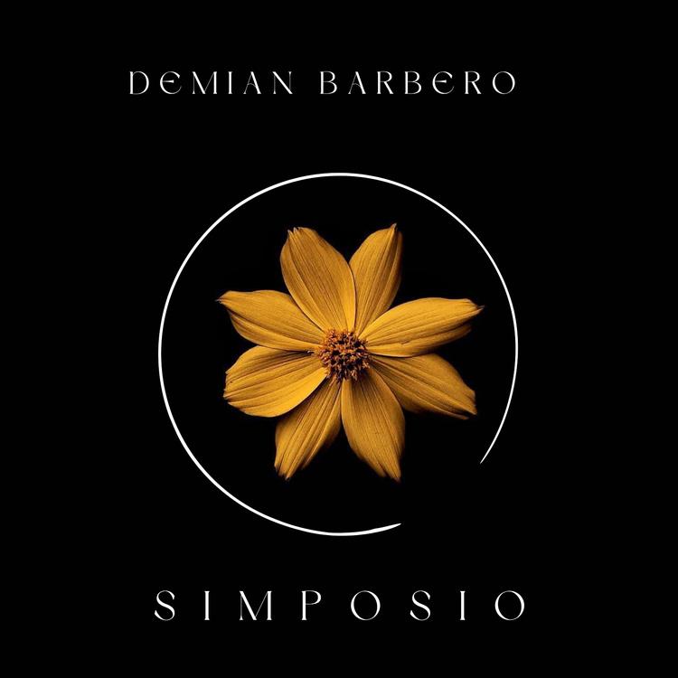 Demian Barbero's avatar image