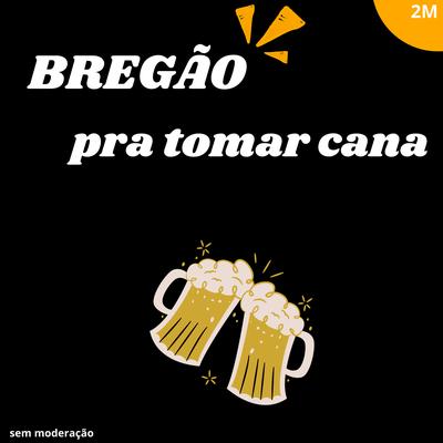 Não vou brincar de amar's cover