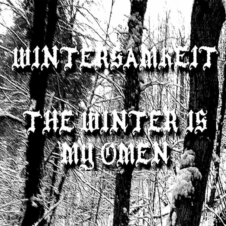 Wintersamkeit's avatar image