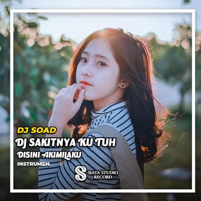 DJ Sakitnya Ku Tuh Disini Akimilaku (INS)'s cover