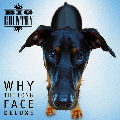 Why the Long Face (Deluxe)'s cover