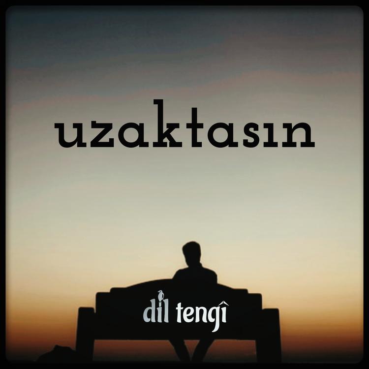 Dil Tengi's avatar image