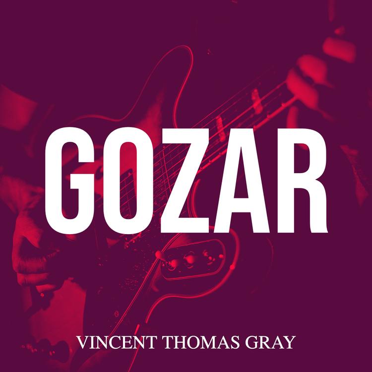 Vincent Thomas Gray's avatar image