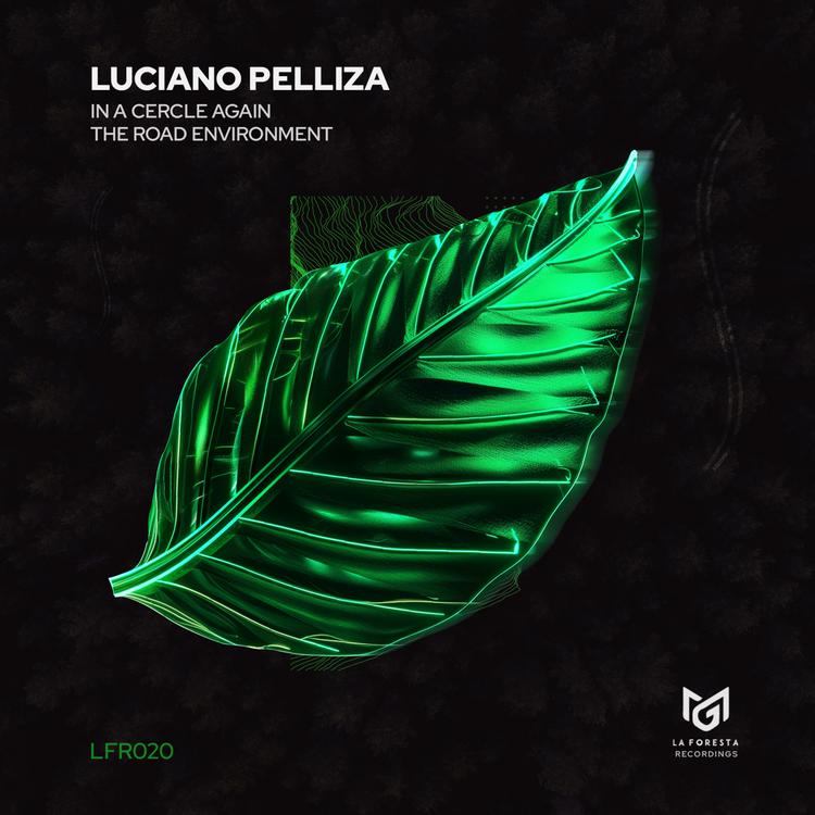 Luciano Pelliza's avatar image