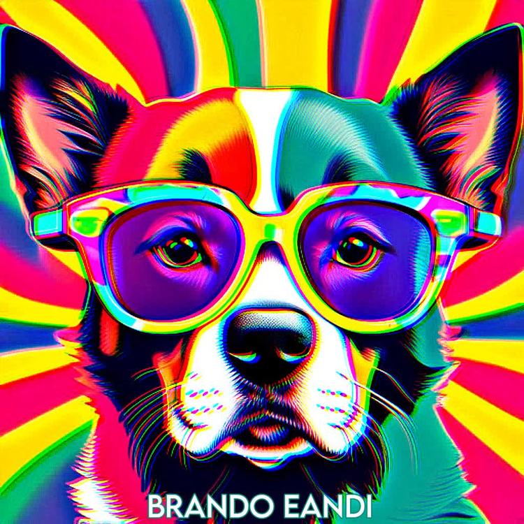 Brando Eandi's avatar image